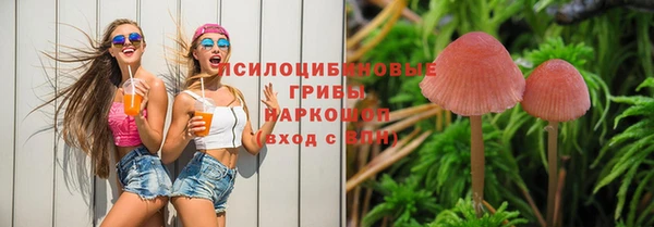 ПСИЛОЦИБИНОВЫЕ ГРИБЫ Алексеевка