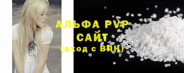 СК Алексин
