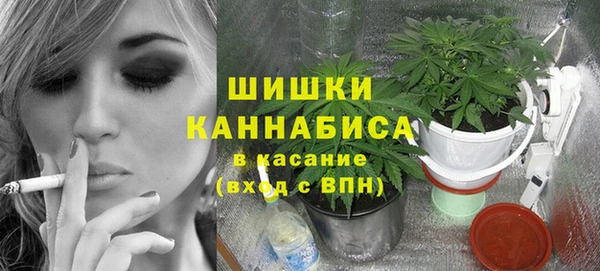 ПСИЛОЦИБИНОВЫЕ ГРИБЫ Алексеевка