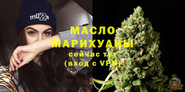 СК Алексин
